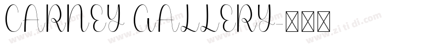 CARNEY GALLERY字体转换